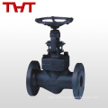 Forged steel globe valve